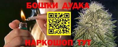 бошки Шелехов