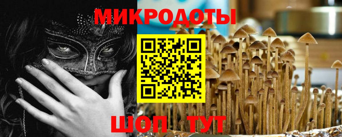 Анапа  Галлюциногенные грибы Cubensis  Вход с VPN  Псилоцибиновые грибы ЛСД 